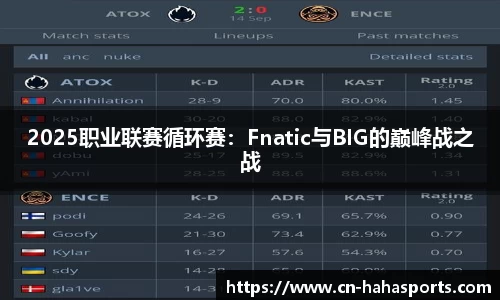 2025职业联赛循环赛：Fnatic与BIG的巅峰战之战